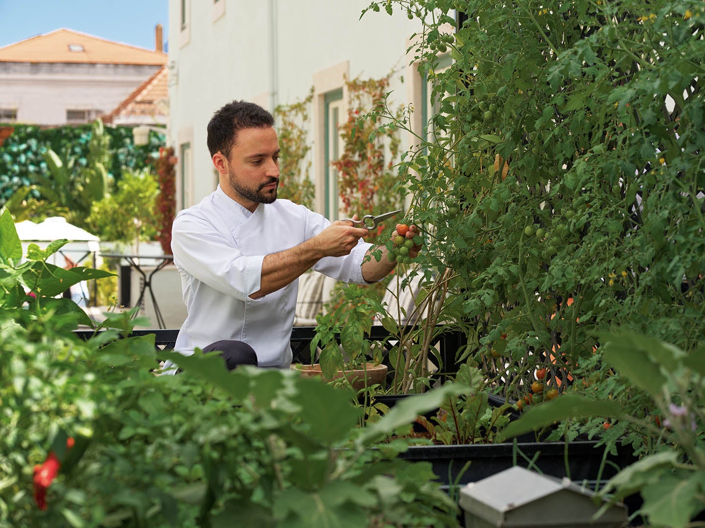 Jardin urbain