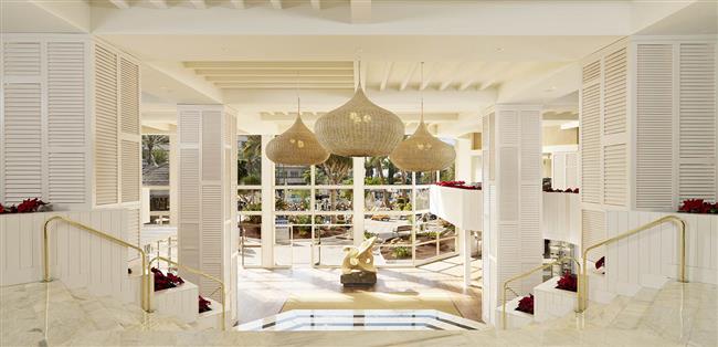 Hotel's lobby and reception