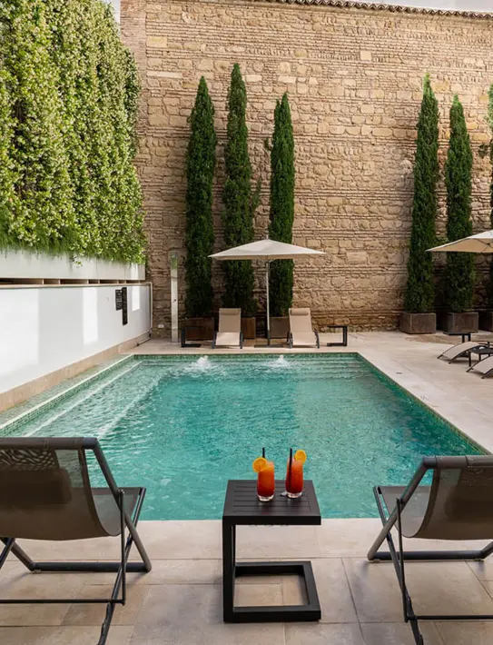 Plunge Pool