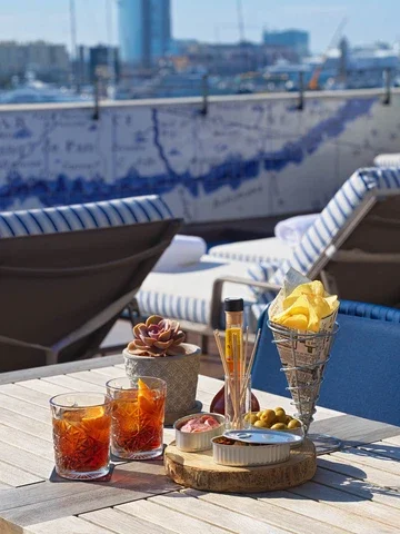Terrassa Mare Nostrum amb vistes al Port Vell