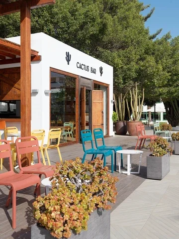 Cactus Bar