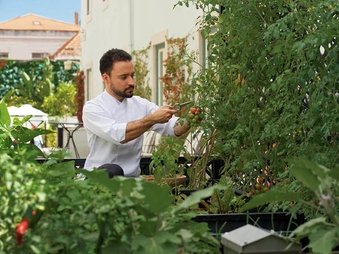 Urban garden